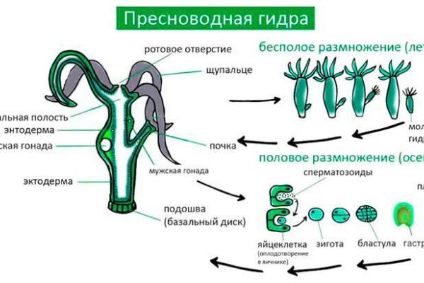 Скачать кракен тор