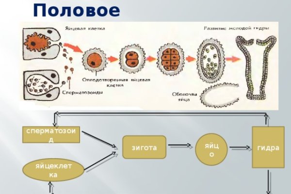 Ссылка кракен kr2web in